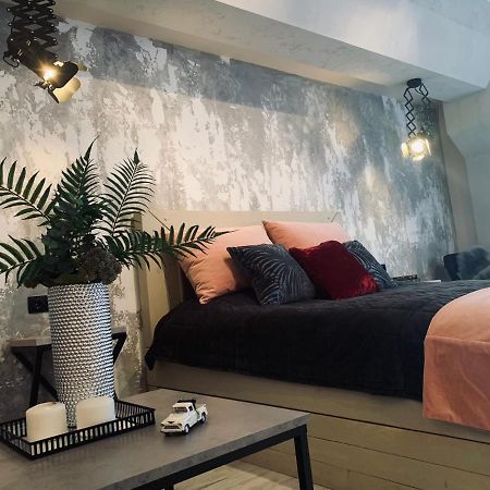 Studio Lux Loft On Victory Street In The City Center Vinnitsja Eksteriør billede